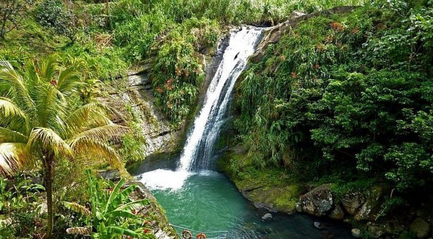 Bay Gardens, St. Paul’s, near St. George’s, Grenada